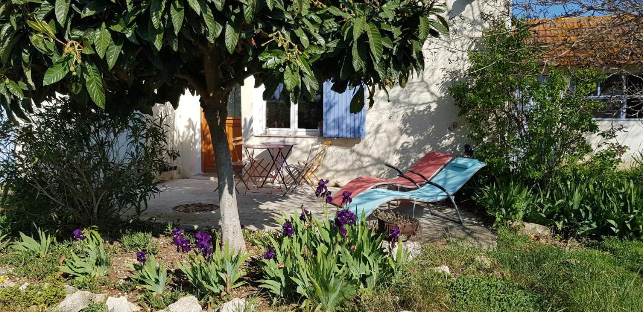 Petite Maison Refaite A Neuf Dans Mas Du 19Eme Siecle Arles Exteriör bild
