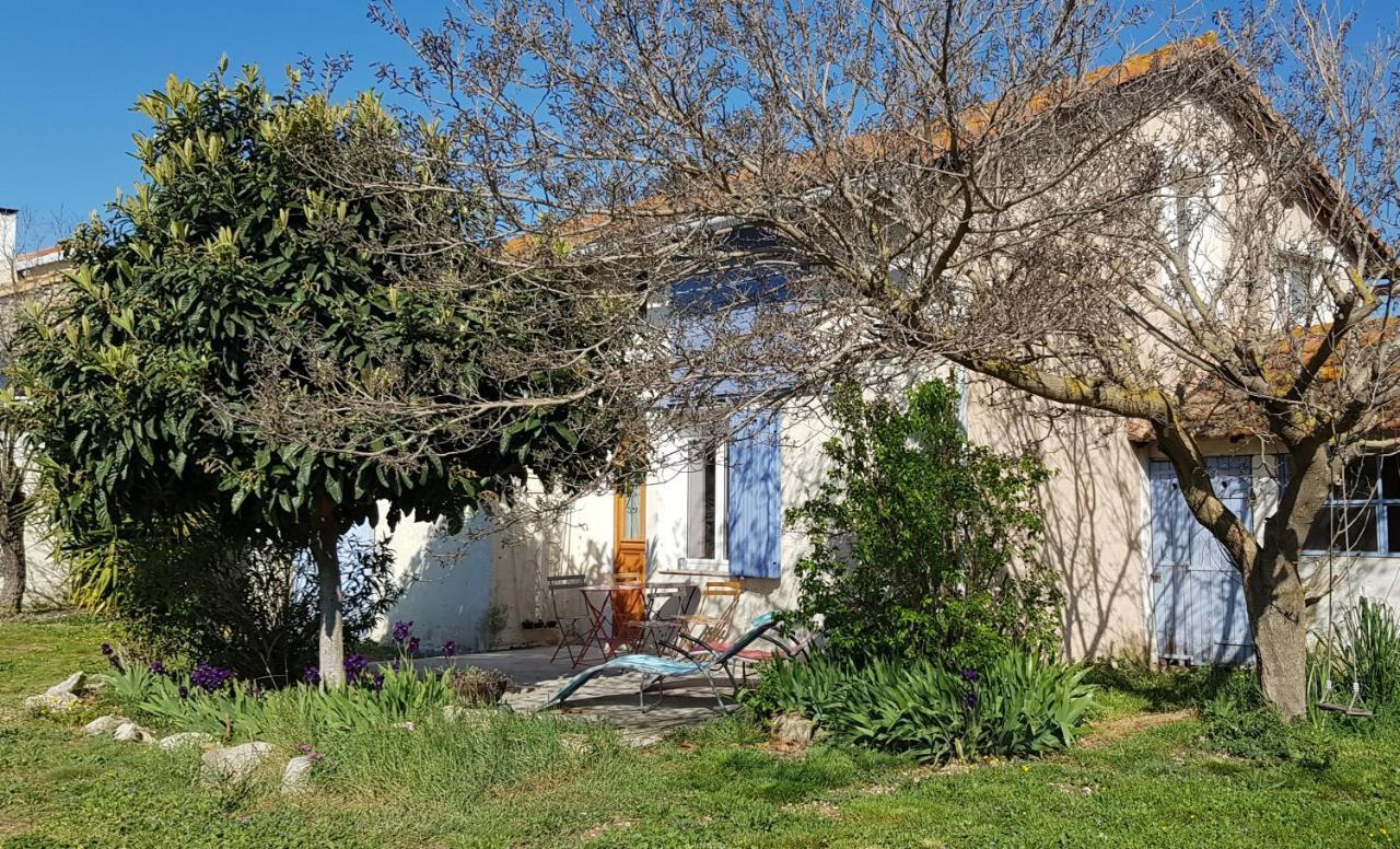 Petite Maison Refaite A Neuf Dans Mas Du 19Eme Siecle Arles Exteriör bild
